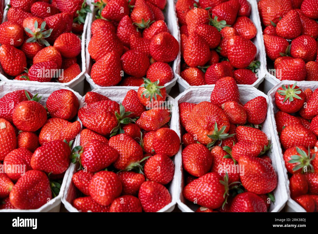 Fraise dans fond de récipient en plastique, texture. Vue rapprochée de fruits rouges sains sucrés dans un emballage blanc. Nourriture appropriée pour végétarien, régime alimentaire. Banque D'Images