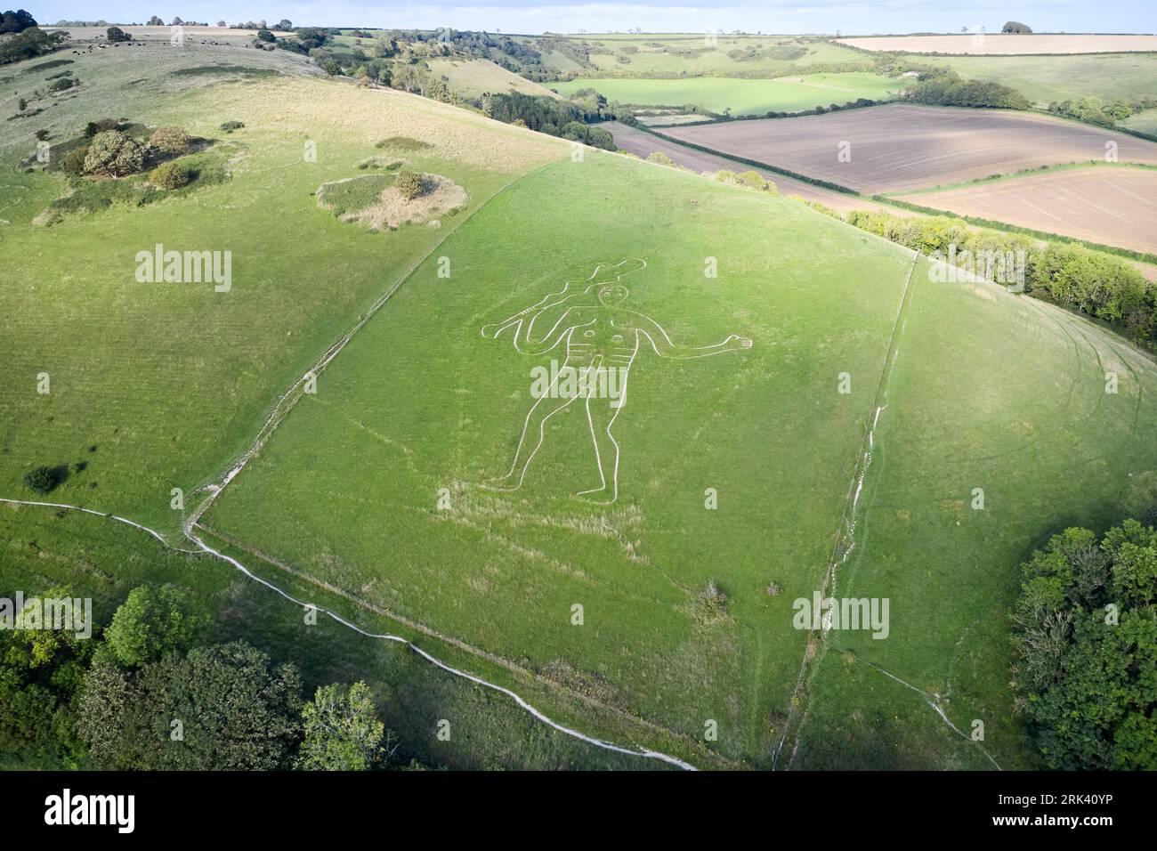 Le géant de cerne ou géant de Cerne Abbas, de Cerne Abbas dans le Dorset, Angleterre, Royaume-Uni Banque D'Images