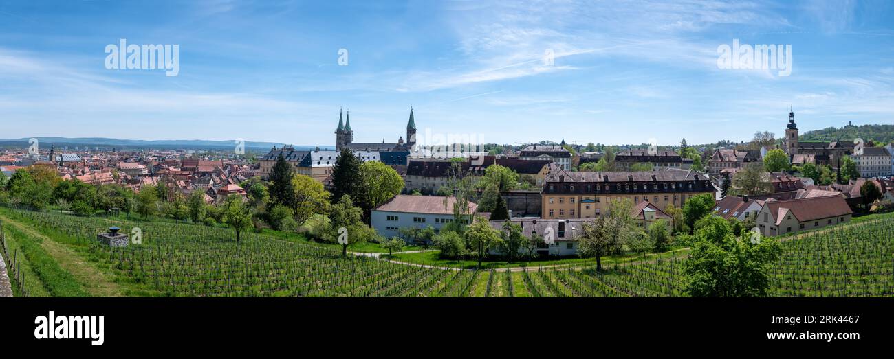 Vue panoramique sur les vignobles et la vieille ville historique de Bamberg, Allemagne Banque D'Images