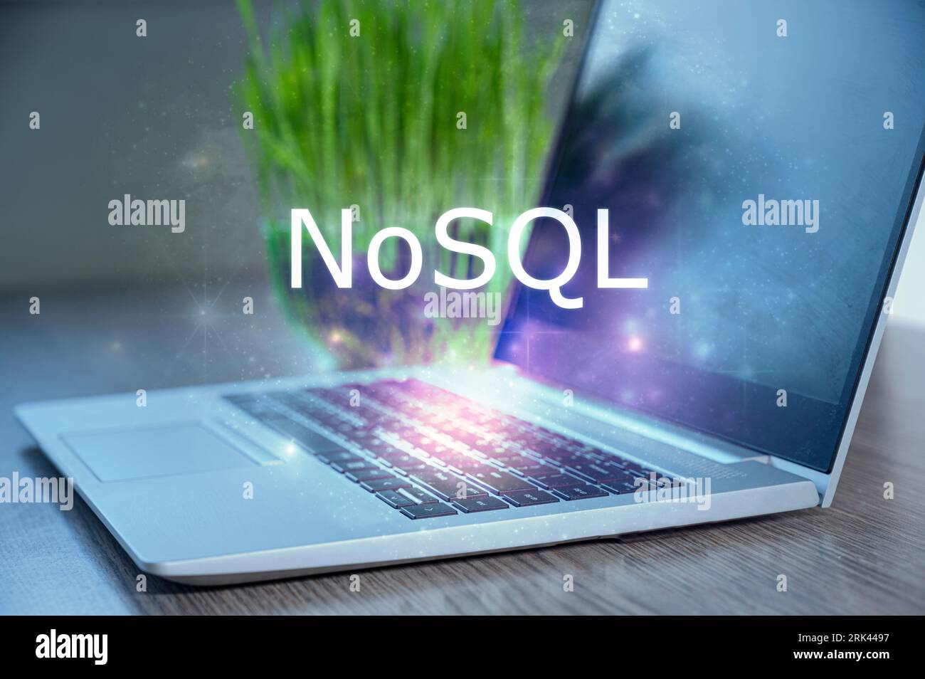Inscription NoSQL sur ordinateur portable et fond de code. Apprendre NoSQL, cours d'informatique, formation. Banque D'Images