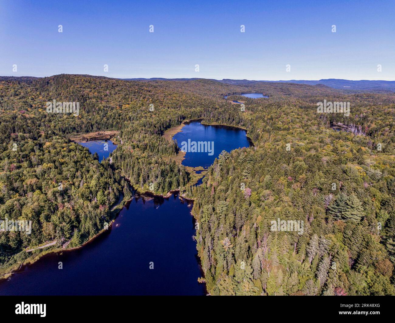 Vue sur la forêt près du lac dans le parc national de la Mauricie Québec, Canada sur une belle journée. Banque D'Images