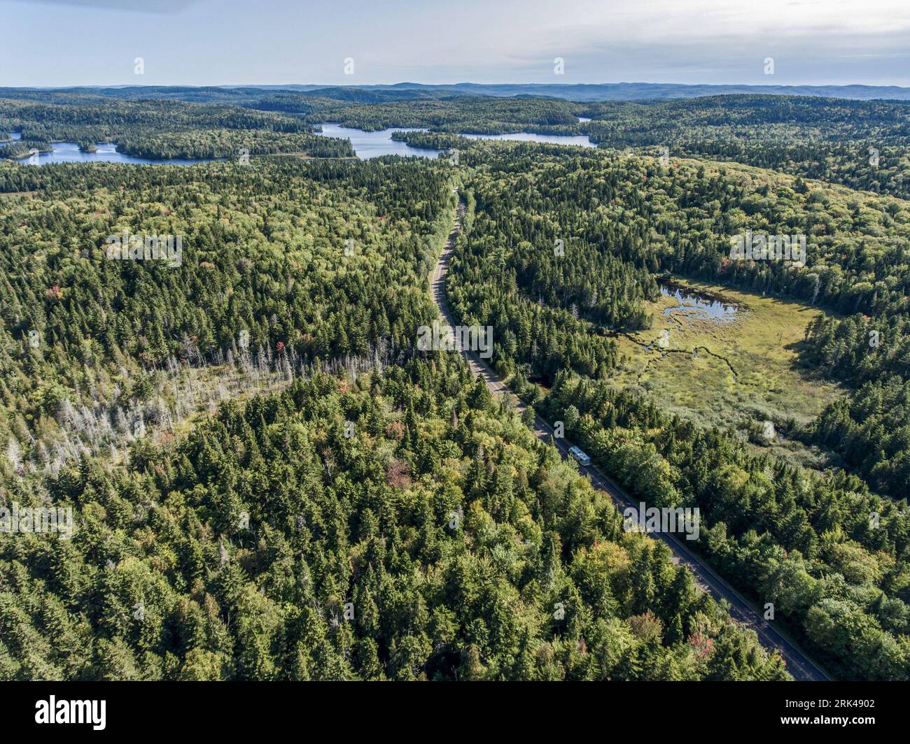 Vue sur la forêt près du lac dans le parc national de la Mauricie Québec, Canada sur une belle journée. Banque D'Images