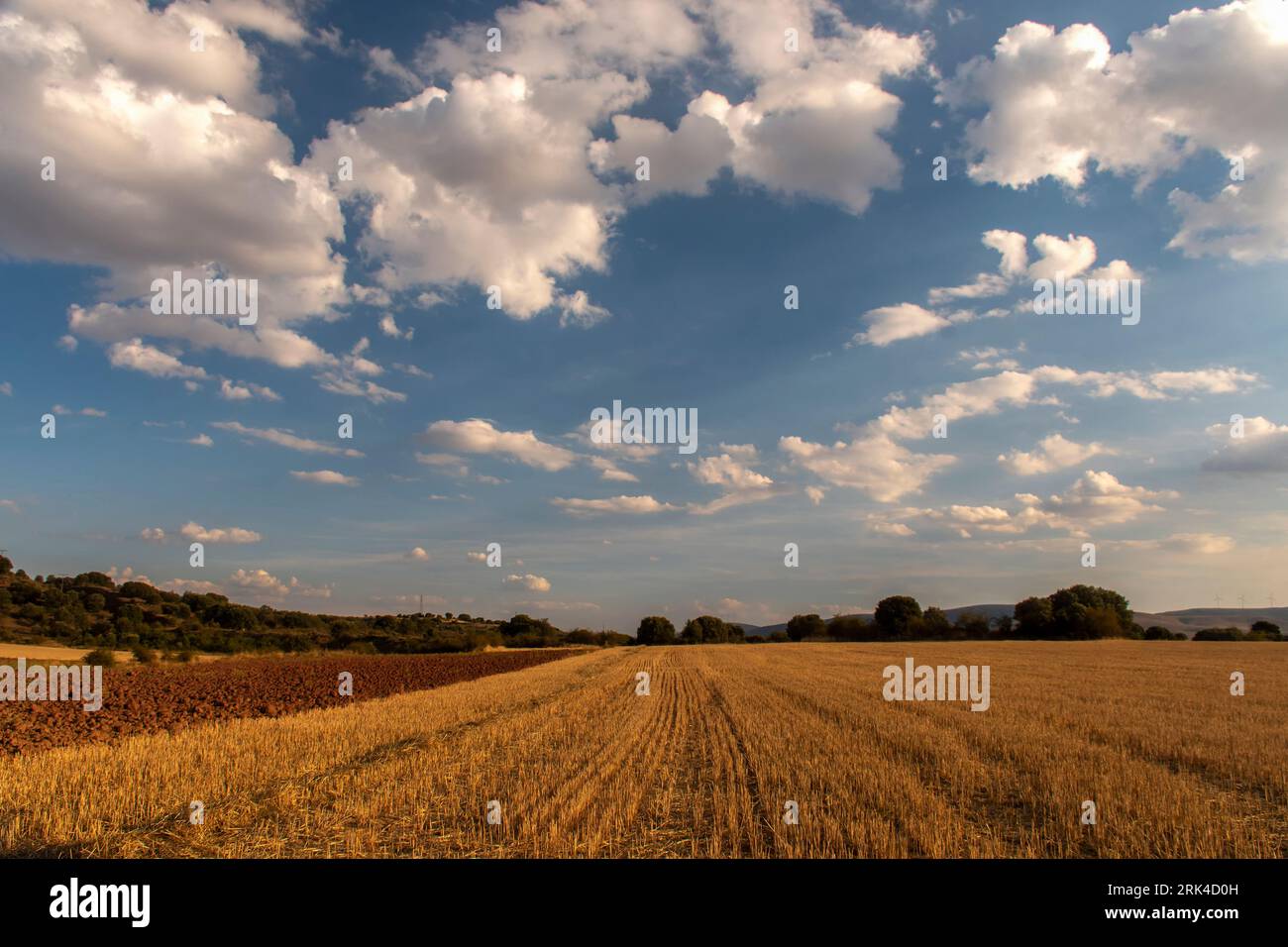 Cette photographie panoramique à couper le souffle capture la beauté d'un coucher de soleil d'été sur les champs de céréales récoltés d'or de Soria, en Espagne. Banque D'Images