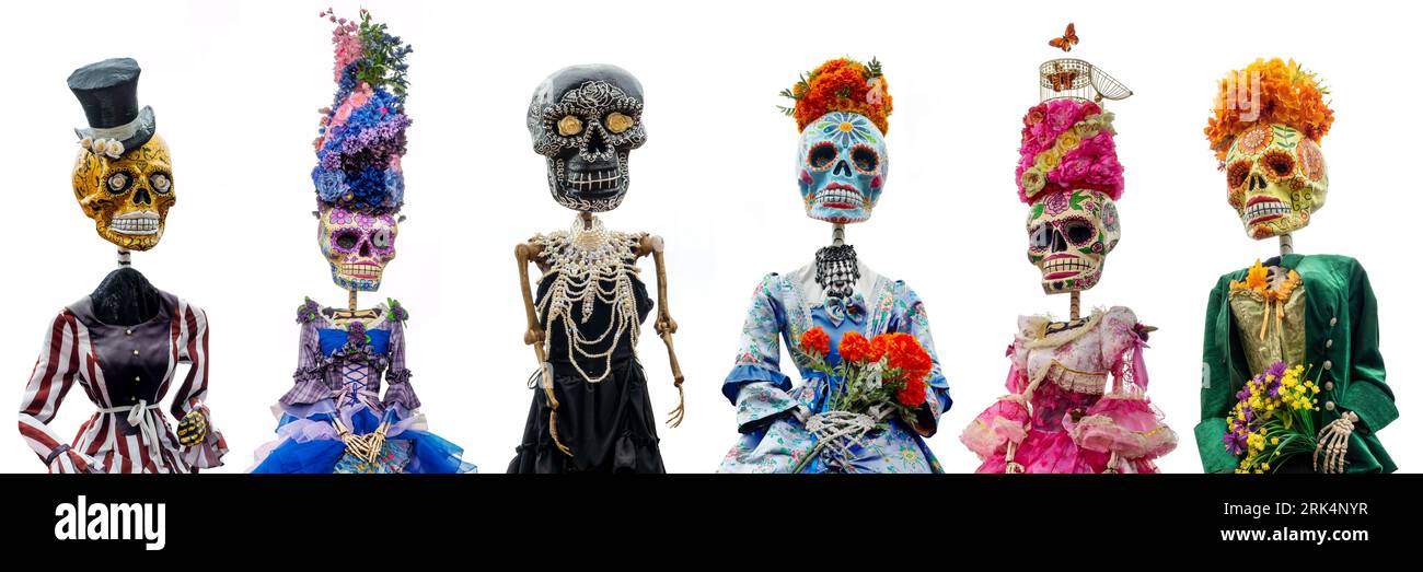 Dia de los Muertos (jour des morts) collection de squelettes et de crânes de sucre, femmes catrinas drôles isolées sur blanc, décor Halloween, tradit mexicain Banque D'Images