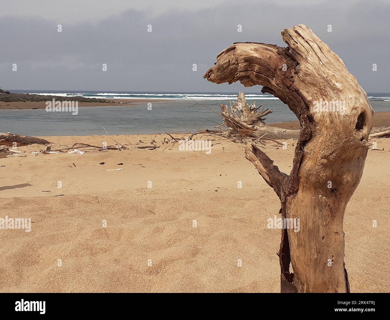 Tronco de madera en playa del Cantábrico. Banque D'Images