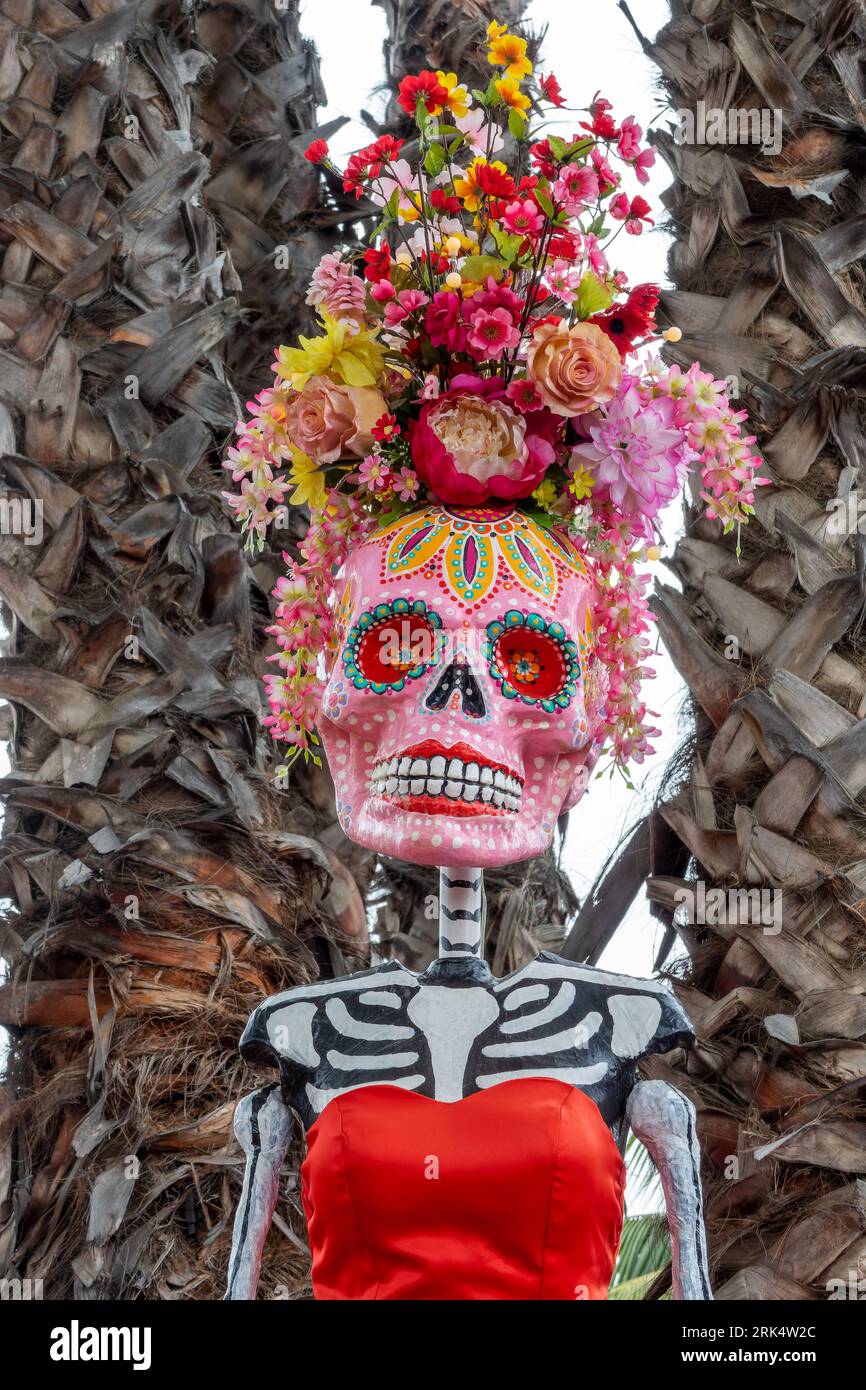 Dia de los Muertos (jour des morts) ornement, portrait drôle de femme crâne isolé sur fond blanc, décor Halloween, fête traditionnelle mexicaine Banque D'Images
