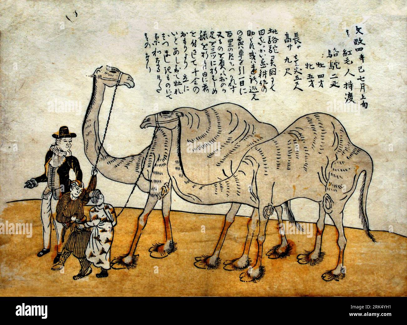 Chameau et dromadaire, anonyme, c. 1821 couleur gravure sur bois, 21 × l 31 cm ( Un Néerlandais et deux serviteurs avec un chameau et un dromadaire ; selon le texte, les animaux ont été présentés au shogun à Edo en 1821 à l'occasion du voyage à la cour ) fabricant de papier: Japon Editeur : Nagasaki Banque D'Images