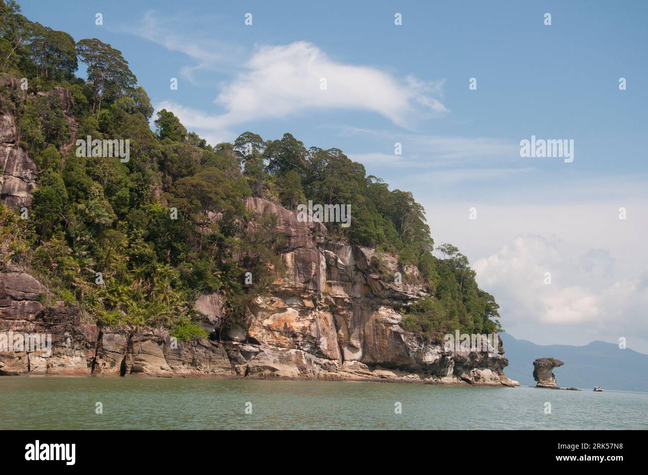 D'imposantes falaises de grès distinguent les reliefs côtiers du parc national de Bako, Kuching, Sarawak, Bornéo malaisien Banque D'Images
