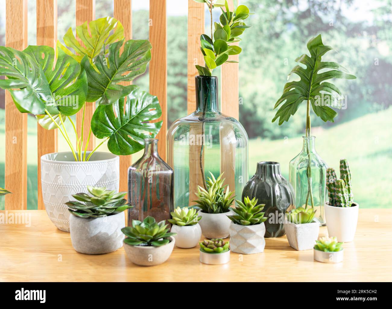 Un ensemble de bouteilles en verre avec des plantes vertes et du feuillage placé sur une table en bois, avec la lumière naturelle illuminant la scène Banque D'Images