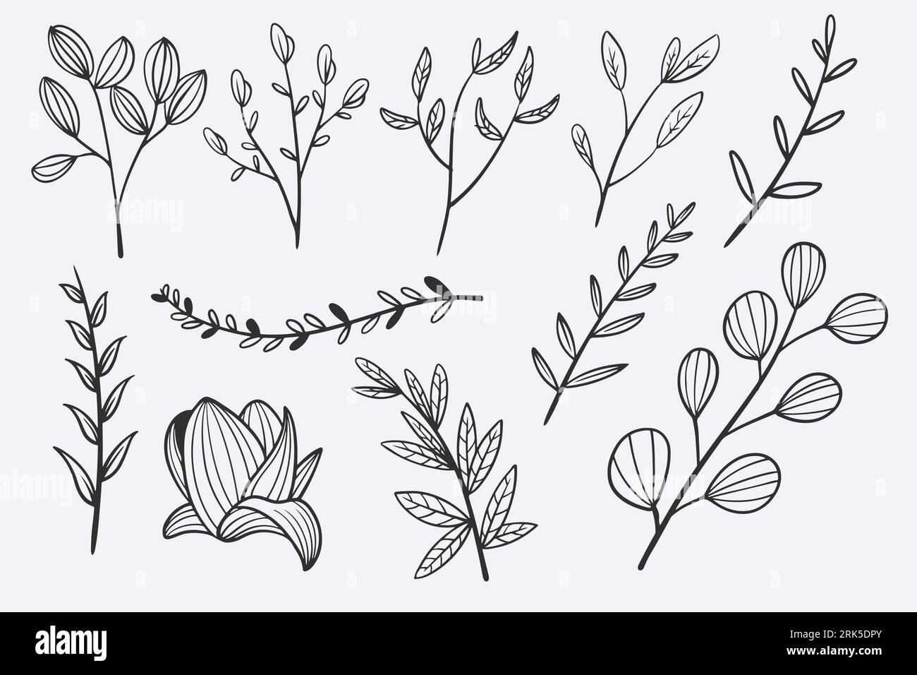 flower leaves doodle dessiné à la main ensemble d'illustrations vectorielles Illustration de Vecteur