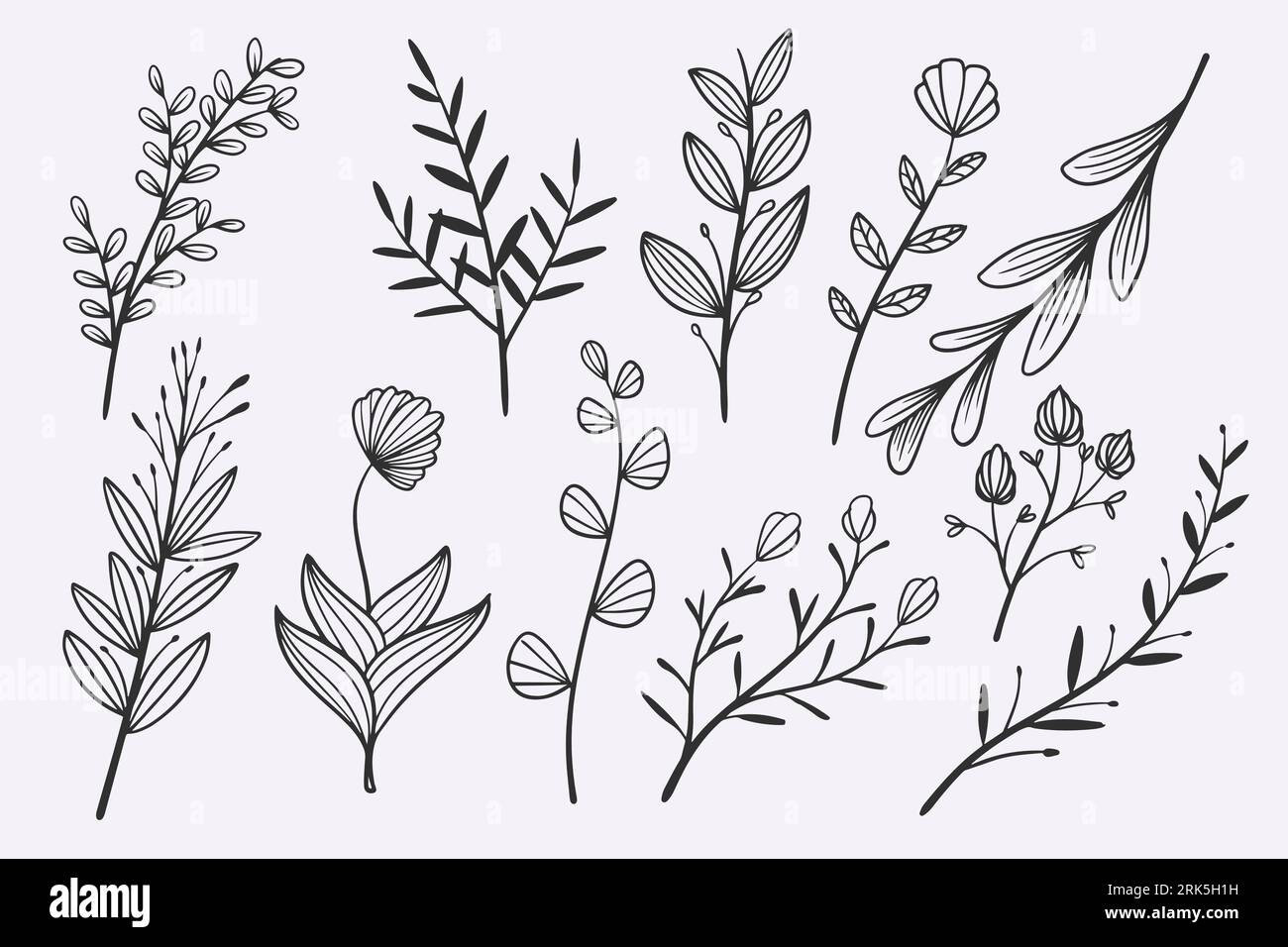 flower leaves doodle dessiné à la main ensemble d'illustrations vectorielles Illustration de Vecteur
