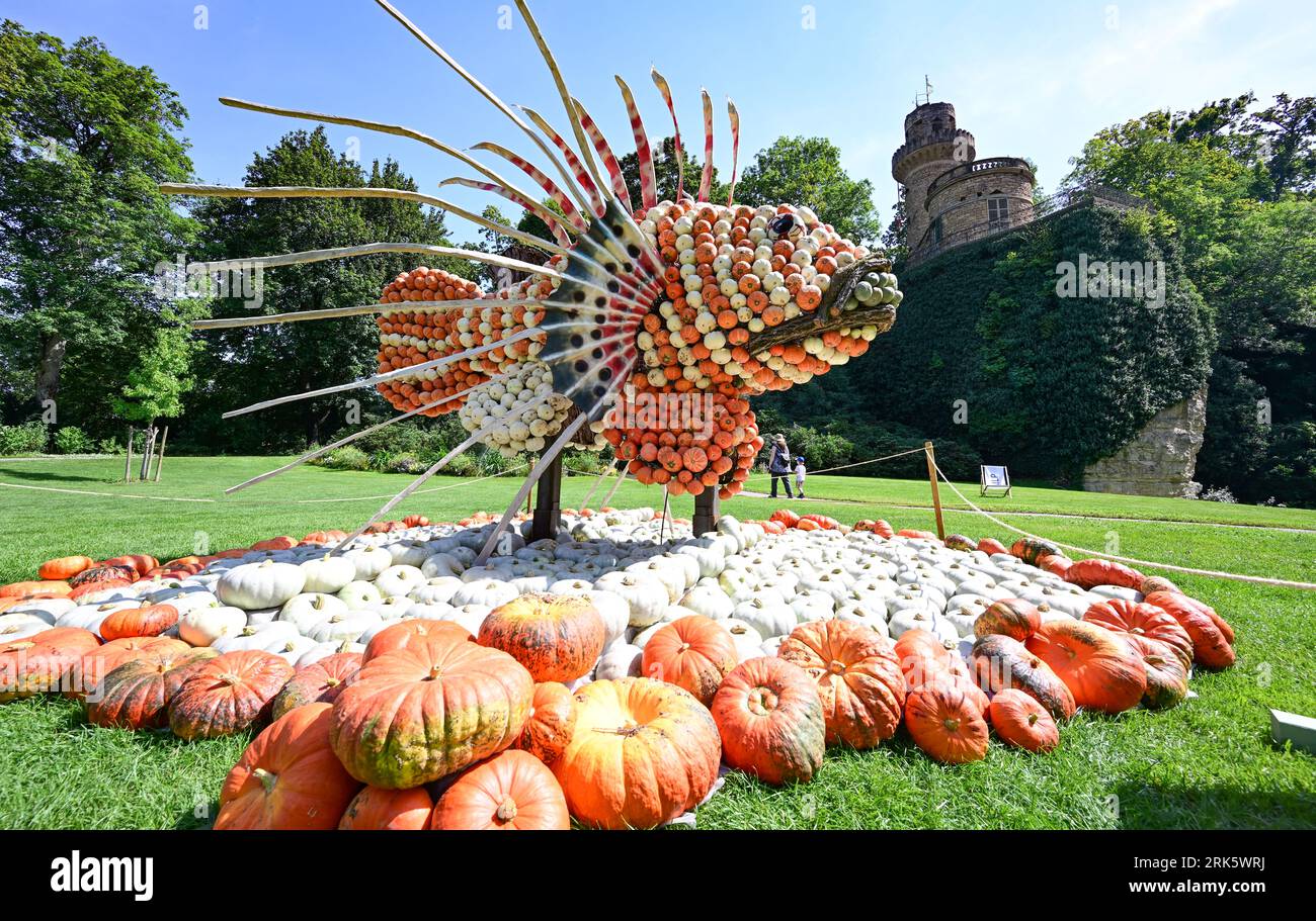 24 août 2023, Bade-Württemberg, Ludwigsburg : une luciole faite de citrouilles est installée dans le parc du Blühenden Barock à Ludwigsburg dans le cadre d'une exposition de citrouilles. (À dpa 'des centaines de milliers de citrouilles décorent à nouveau le parc à Ludwigsburg') photo : Bernd Weißbrod/dpa Banque D'Images