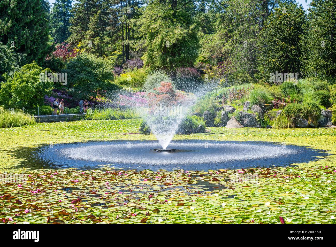 Le lac Livingstone a été nommé en l'honneur de Bill Livingstone, le premier surintendant du jardin botanique VanDusen, Vancouver, C.-B., Canada. Banque D'Images