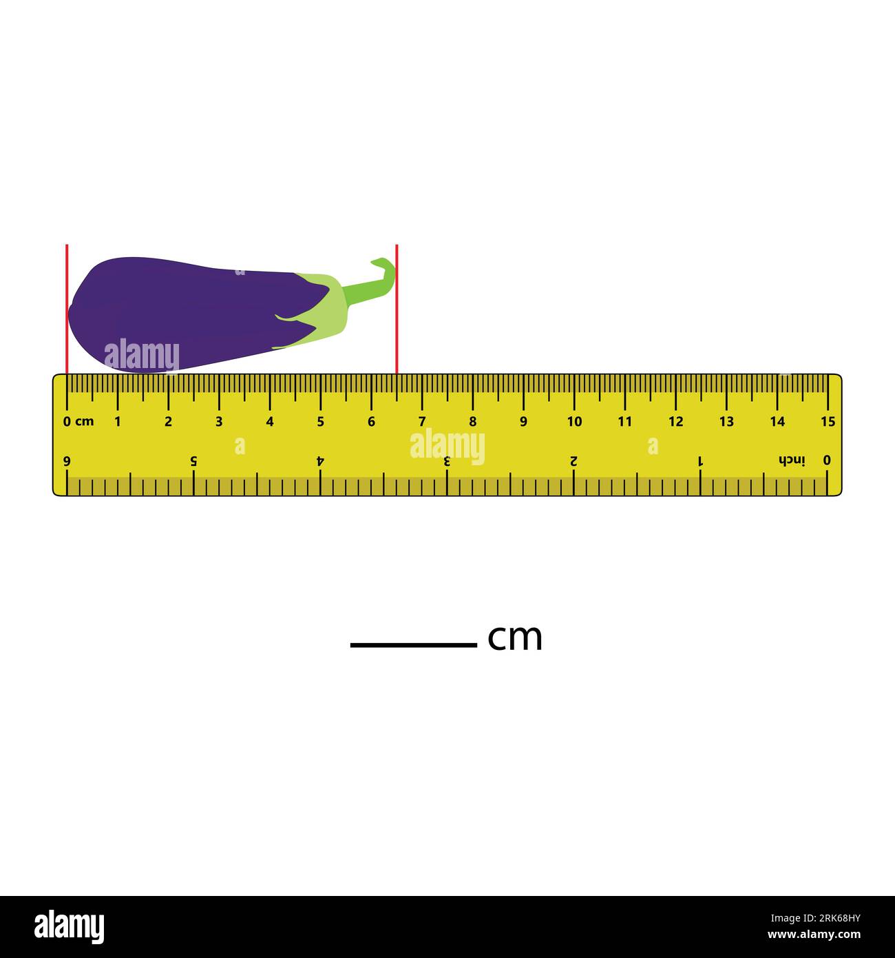 Mesure de la longueur en centimètres brinjal avec la règle. Feuille de travail de développement de l'éducation. Jeu pour enfants. Puzzle pour enfants. Illustration vectorielle. chariot Illustration de Vecteur