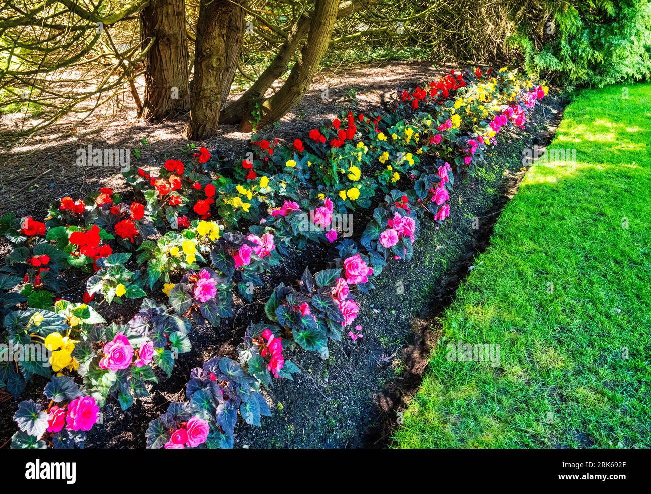 Parterres de fleurs au VanDusen Horticultural Garden, Vancouver, BC, Canada. Banque D'Images