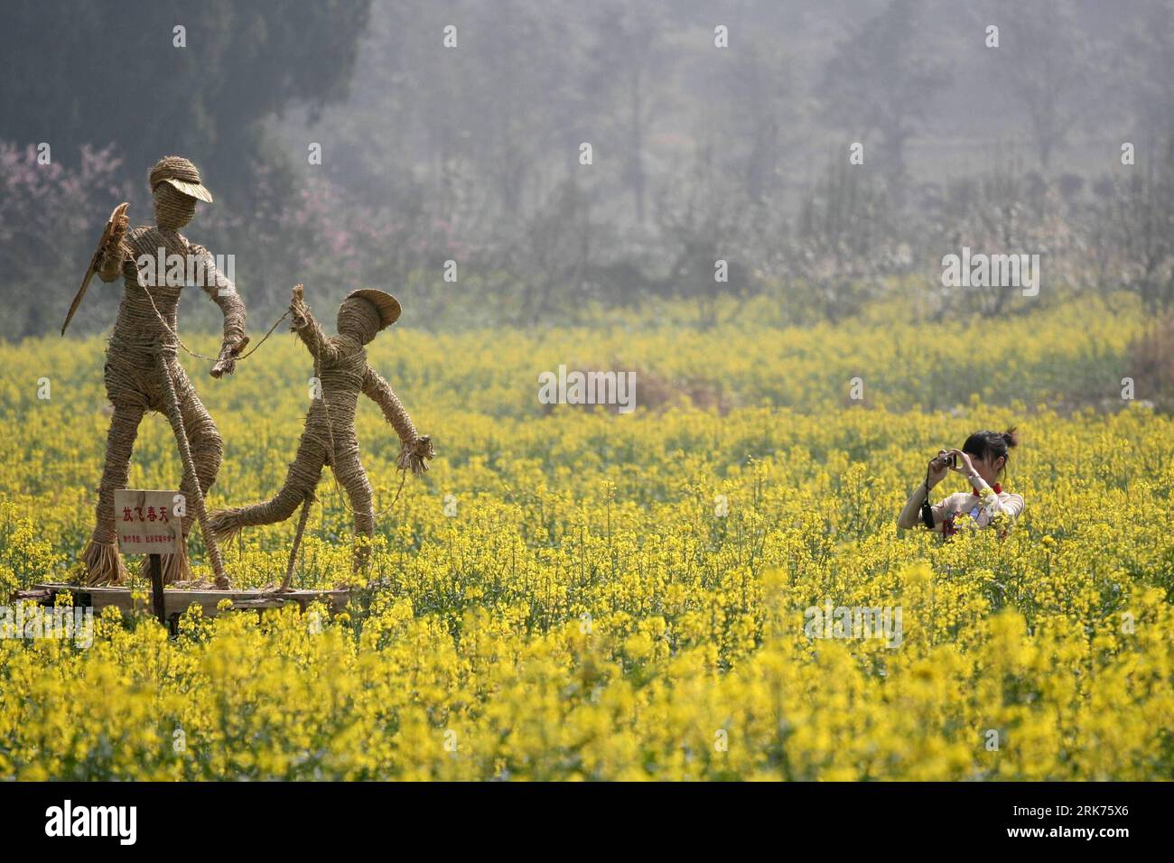 Bildnummer : 53868637 Datum : 19.03.2010 Copyright : imago/Xinhua (100319) -- XIANJU, 19 mars 2010 (Xinhua) -- une actrice prend des photos d'hommes staw dans le champ de cole pendant le 3e festival de fleurs du Cole dans le comté de Xianju, province de Zhejiang dans l'est de la Chine, le 19 mars 2010. Quelque 100 hommes de paille fabriqués par des étudiants locaux ont été placés dans quelque 80 000 mu (5 333 hectares) de champs de cole pour décorer le festival et attirer les touristes. (Xinhua/Ju Huanzong) (wqq) (6)CHINA-ZHEJIANG-XIANJU-COLE FLOWER FESTIVAL (CN) PUBLICATIONxNOTxINxCHN Gesellschaft kbdig xkg 2010 quer o0 Rapsfeld, RAPS, fotografieren, Rapsfestival Banque D'Images