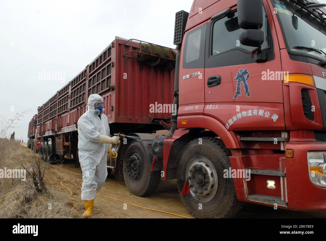 Bildnummer : 53882231 Datum : 22.03.2010 Copyright : imago/Xinhua (100323) -- RIZHAO, 23 mars 2010 (Xinhua) -- un employé du Bureau d inspection et de quarantaine des entrées-sorties de la ville de Rizhao pulvérise les agents désinfectants sur les véhicules destinés au transport des vaches laitières importées d Australie débarquées au port de la ville de Rizhao, dans la province du Shandong de l est de la Chine, le 22 mars 2010. Un navire de fret chargé de quelque 2 860 vaches laitières atteint le port de Rizhao, car les vaches laitières doivent être transférées dans des fermes d'élevage après 45 jours d'inspection de quarantaine pour confirmation qu'il s'agit d'épidémies... Banque D'Images