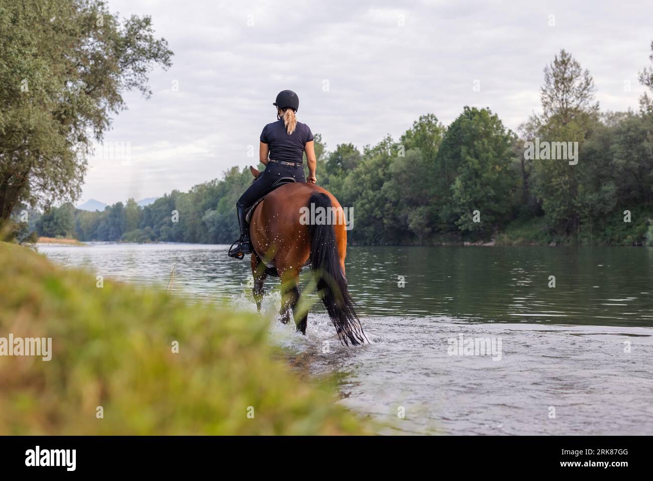 Une femelle à cheval dans un ensemble de jockey noir à cheval sur un cheval de châtaignier le long de la rivière au coucher du soleil. Concept de loisirs, d'équitation et de nature. Banque D'Images