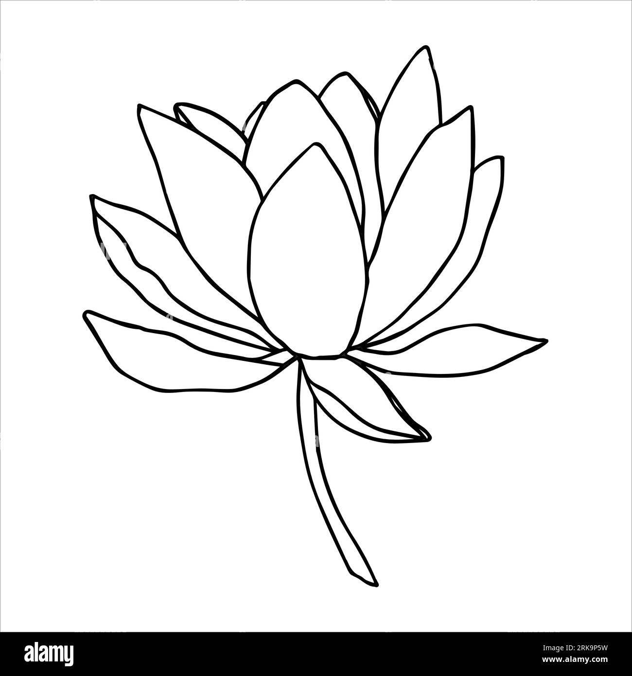 Illustration d'art de ligne noire de fleur de lotus dessinée à la main. Dessin floral de contour pour logo, tatouage, conception d'emballage, compositions. Water Lily Illustration de Vecteur