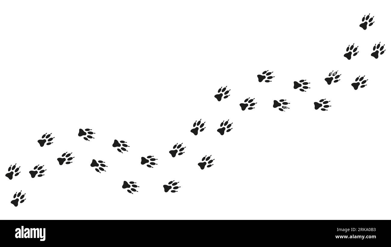 Traces de chemin de chien, chiot, loup, renard. Imprimé patte de chien, silhouette. Piste. Vecteur isolé. Modèle Paw. Trace de loup. Animalerie, imprimerie, textiles edu Illustration de Vecteur
