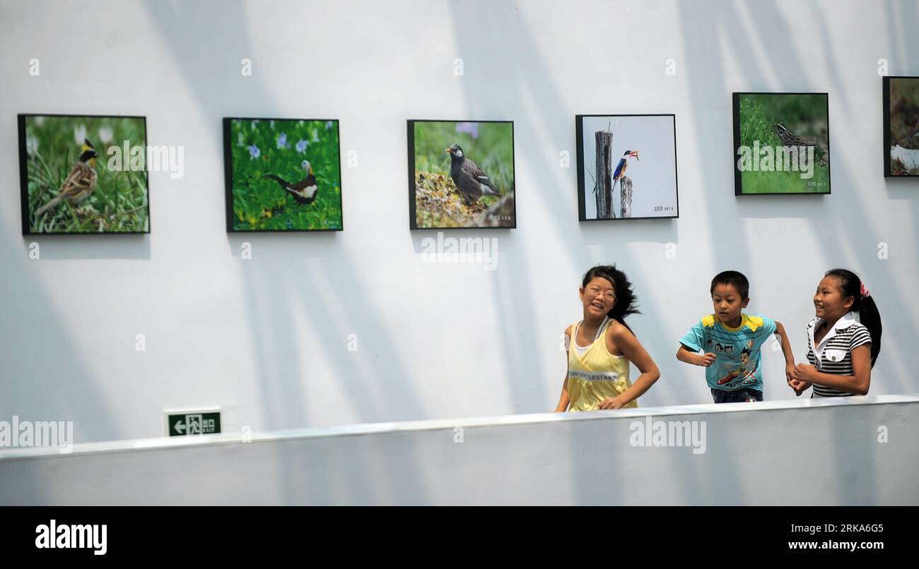 Bildnummer : 54276839 Datum : 05.08.2010 Copyright : imago/Xinhua (100805) -- HANGZHOU, 5 août 2010 (Xinhua) -- des enfants jouent au Musée des terres humides de Chine à Hangzhou, capitale de la province du Zhejiang de l est de la Chine, 5 août 2010. Le musée a accueilli en moyenne près de 5 000 visiteurs par jour pendant ces vacances d’été. Le Musée des terres humides de Chine, avec une surface d'exposition de 7 800 mètres carrés, se compose de quatre salles d'exposition sur le thème des zones humides. Des exemples d'expositions, des activités d'interaction, des expériences et des spectacles multimédias sont appliqués pour afficher des contenus sur les zones humides mondiales, les zones humides chinoises représentatives, la menace pour Banque D'Images