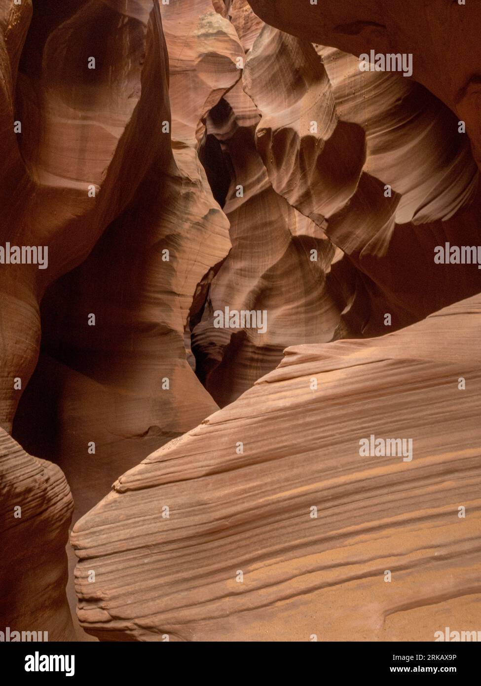 Slot Canyon à page, Arizona est sur les terres indiennes et nécessite un guide. Photo de Liz Roll Banque D'Images