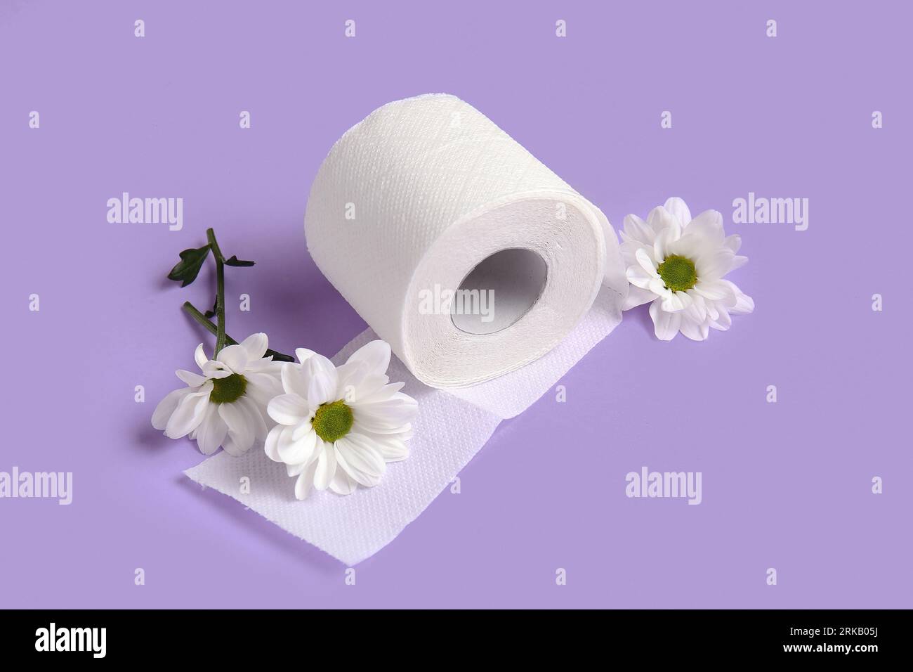 Rouleau de papier toilette avec de belles fleurs de camomille sur fond lilas Banque D'Images