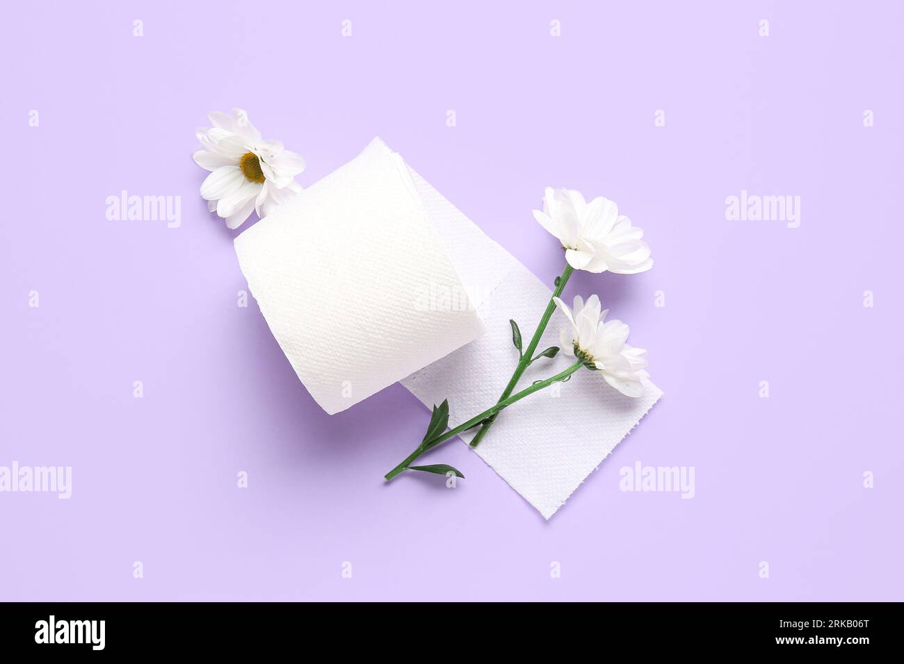 Rouleau de papier toilette avec de belles fleurs de camomille sur fond lilas Banque D'Images