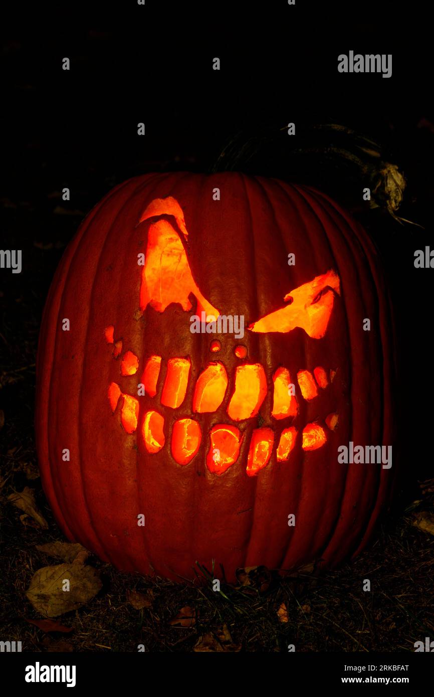 Visage toothy. Thème Halloween citrouille sculptée. Stoddard Avenue Pumpkin Glow. Dayton, Ohio, États-Unis. Banque D'Images