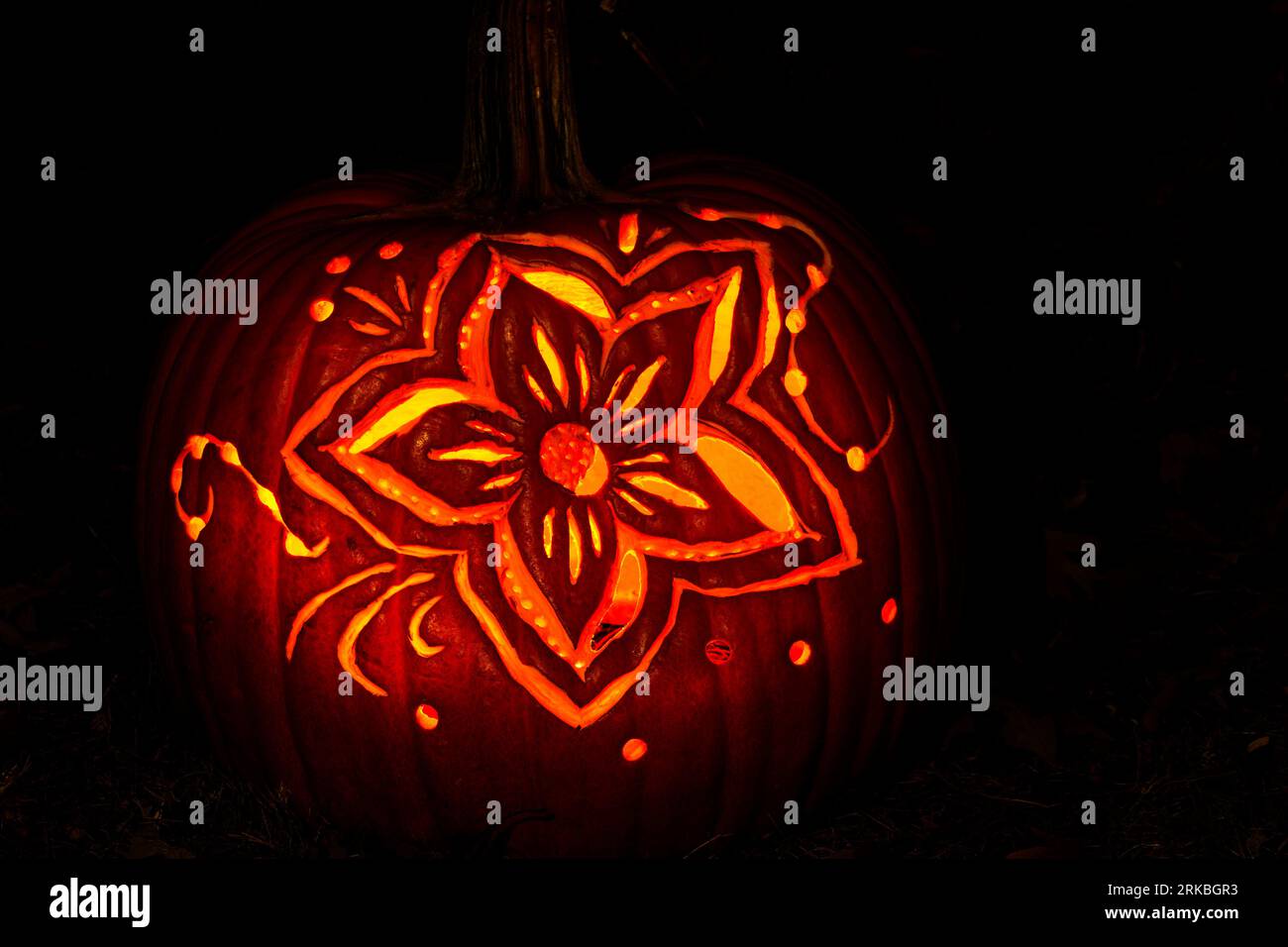 Thème Halloween citrouille sculptée. Stoddard Avenue Pumpkin Glow. Dayton, Ohio, États-Unis. Banque D'Images