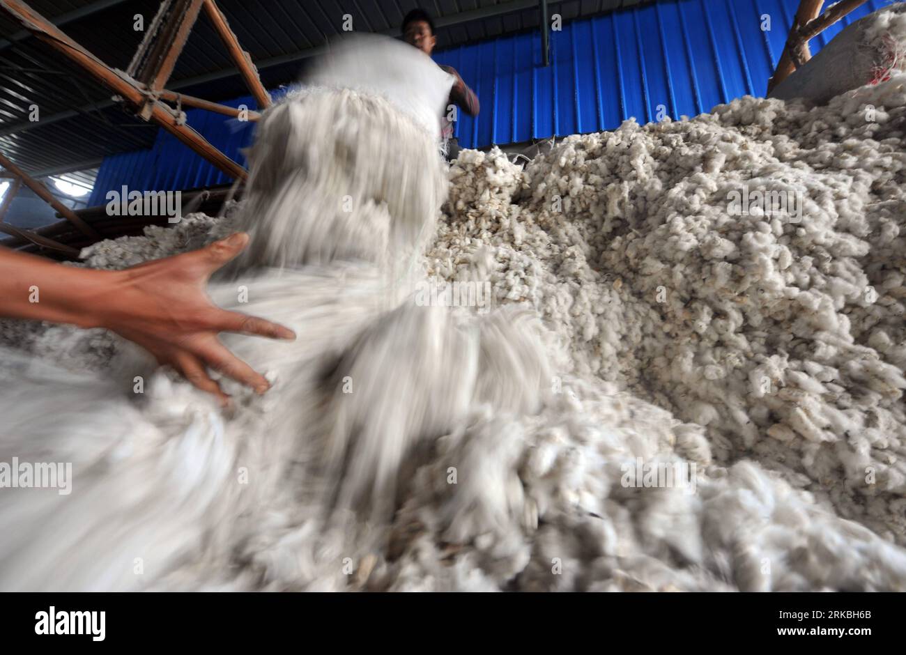 Bildnummer : 54560910 Datum : 22.10.2010 Copyright : imago/Xinhua HANGZHOU, Oct. 23, 2010 (Xinhua) -- arrange le coton amassé pour la spéculation sur le marché dans Lanxi, province du Zhejiang dans l'est de la Chine, Oct. 22, 2010. Les prix du coton sur les marchés spot et à terme en Chine ont grimpé considérablement depuis mai, dépassant tous deux le record le plus élevé de 25 000 yuans RMB (3 755 dollars américains) par tonne. Les prix sur le marché à terme ont augmenté de plus de 6 000 yuans RMB (902 dollars américains) au cours des 40 derniers jours depuis septembre. La montée en flèche continue des prix du coton et la croissance rapide de l'appréciation du RMB ont réduit les bénéfices de te Banque D'Images