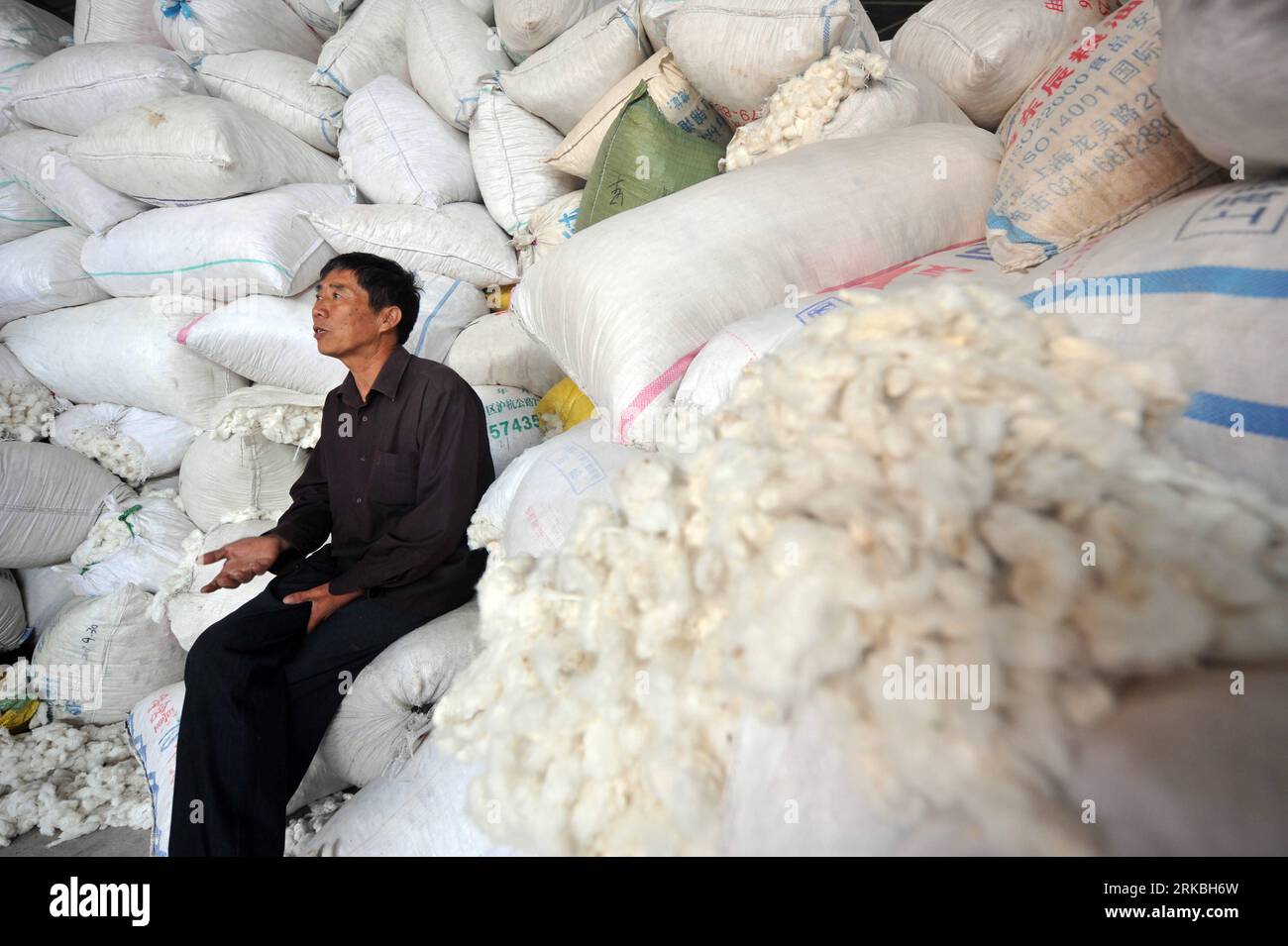 Bildnummer : 54560905 Datum : 22.10.2010 Copyright : imago/Xinhua HANGZHOU, 23 octobre 2010 (Xinhua) -- Tang Guirong, un acheteur de coton, est assis sur des piles de coton dans la province du Zhejiang de l'est de la Chine, 22 octobre 2010. Les prix du coton sur les marchés spot et à terme en Chine ont grimpé considérablement depuis mai, dépassant tous deux le record le plus élevé de 25 000 yuans RMB (3 755 dollars américains) par tonne. Les prix sur le marché à terme ont augmenté de plus de 6 000 yuans RMB (902 dollars américains) au cours des 40 derniers jours depuis septembre. La flambée continue des prix du coton et la croissance rapide de l'appréciation du RMB ont fait baisser les bénéfices Banque D'Images