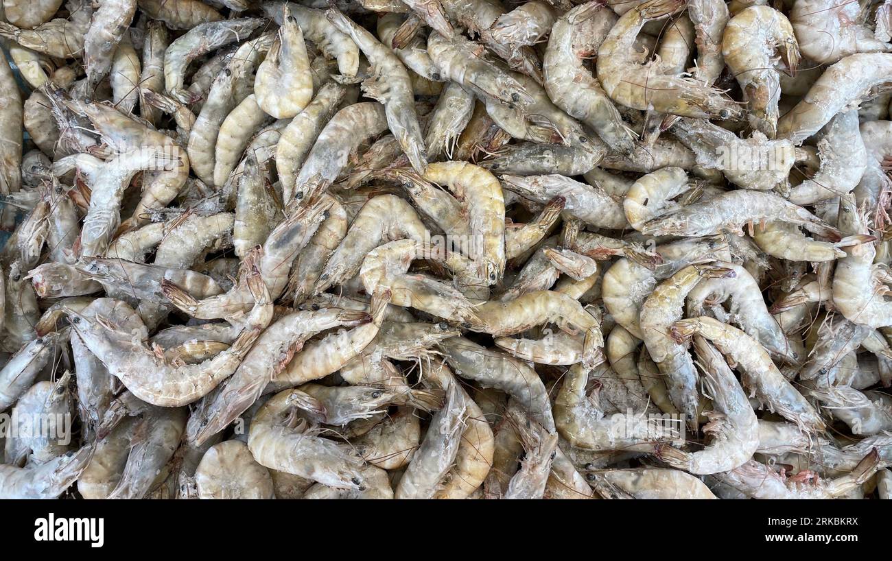 Crevettes congelées sur un marché alimentaire portugais. Banque D'Images