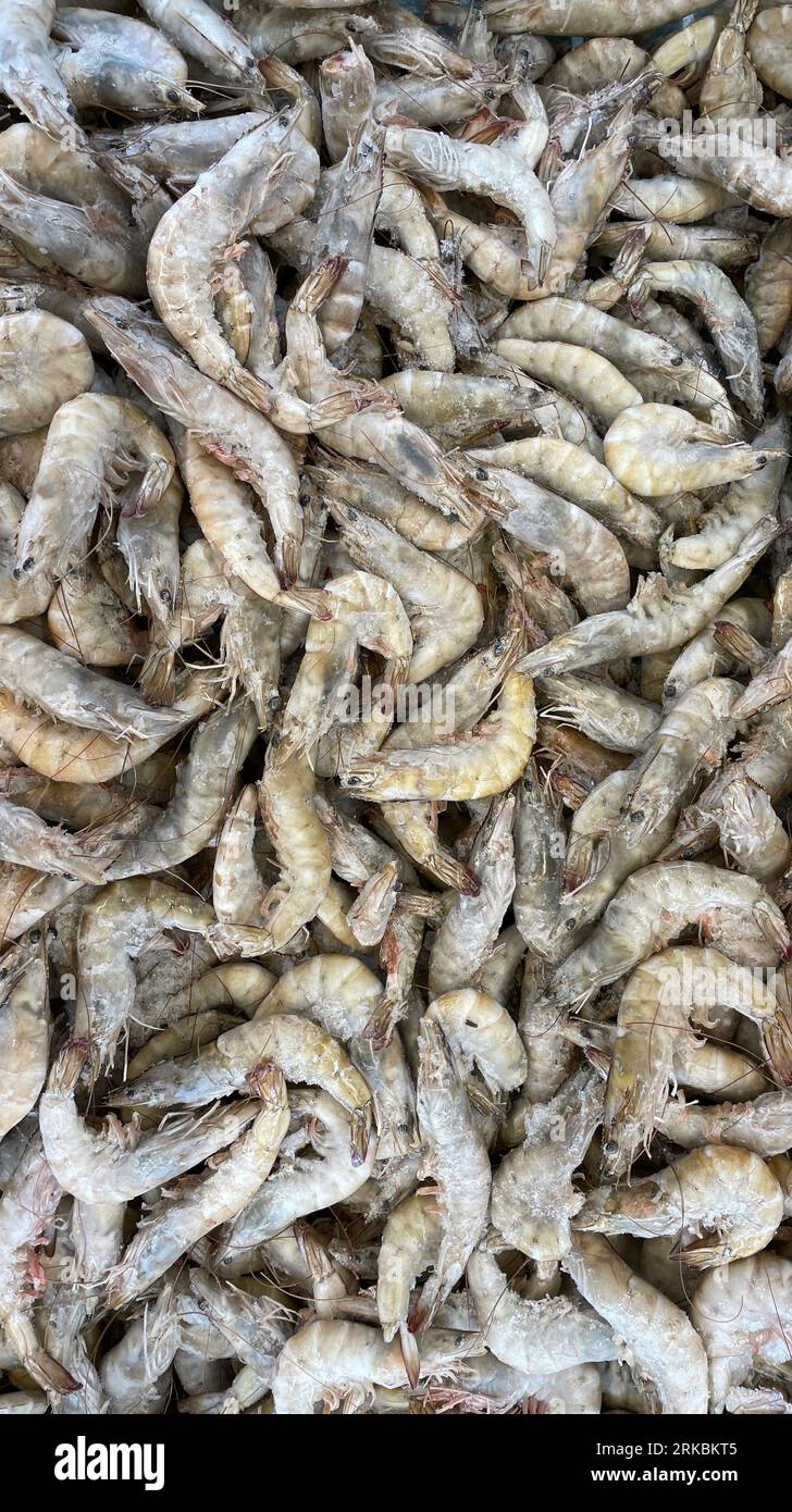 Crevettes congelées sur un marché alimentaire portugais. Banque D'Images