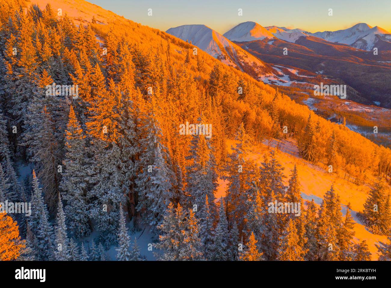 Arbres glacés au coucher du soleil dans les montagnes de la Sal, forêt nationale de Manti-la Sal, Utah Banque D'Images