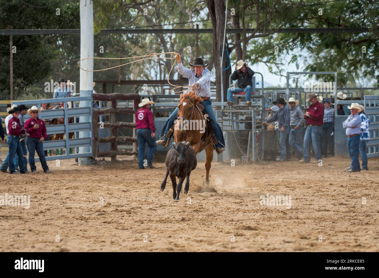 Une cow-girl tourne son lassoo alors qu'elle descend le mollet lors de l'événement individuel de rodéo de Mareeba 2023. Banque D'Images