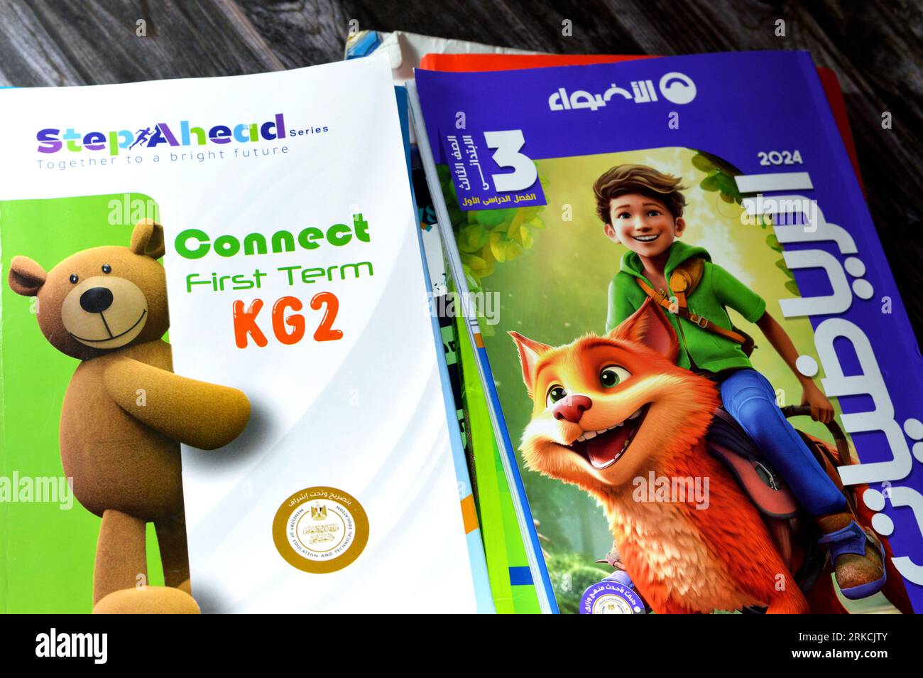 Le Caire, Egypte, août 18 2023 : pile de livres éducatifs utilisés par les écoliers égyptiens, apprentissage, enseignement, concept de livres éducatifs soit publié Banque D'Images
