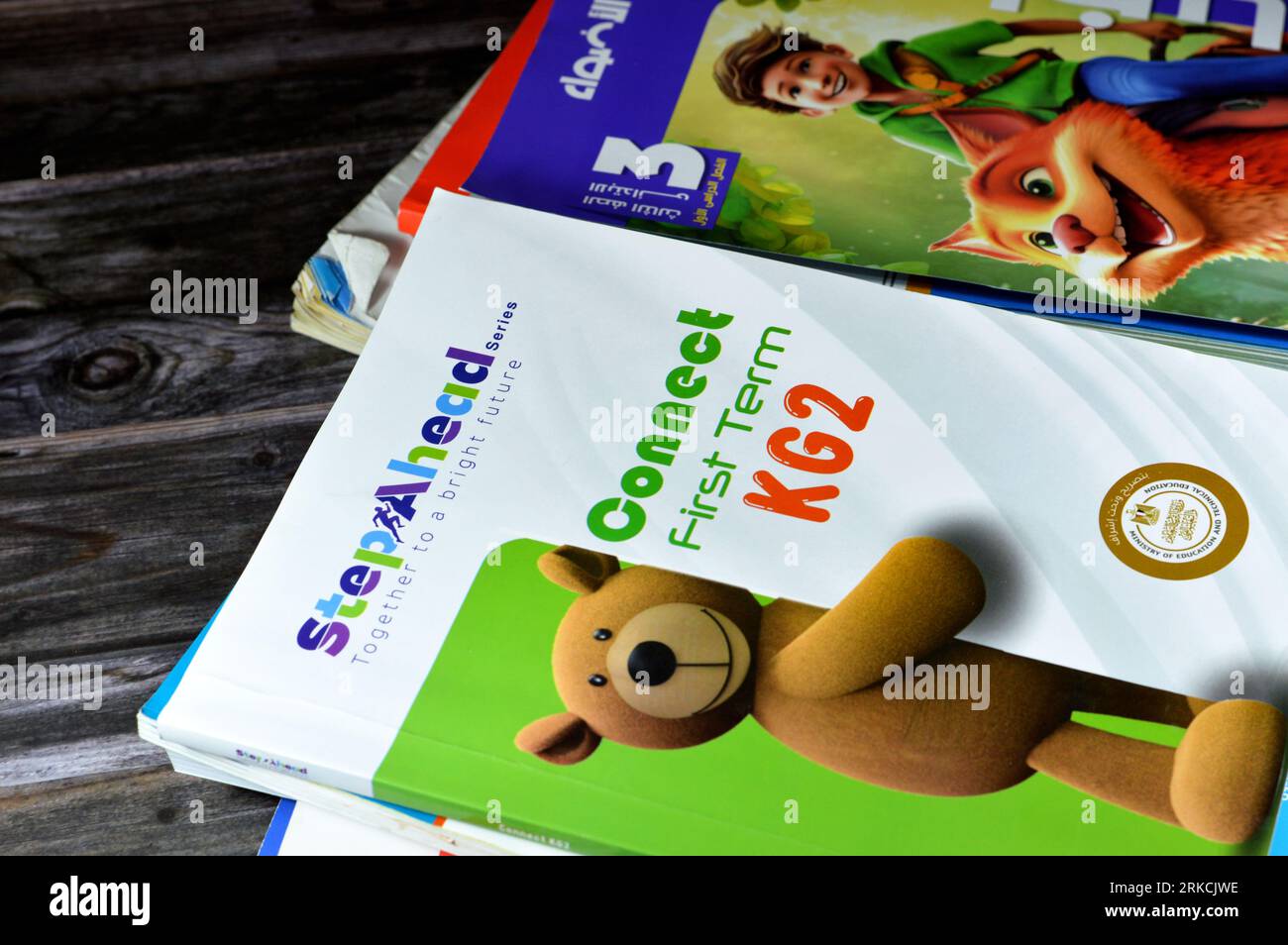 Le Caire, Egypte, août 18 2023 : pile de livres éducatifs utilisés par les écoliers égyptiens, apprentissage, enseignement, concept de livres éducatifs soit publié Banque D'Images