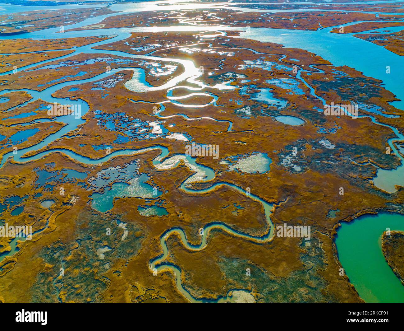 Zones humides dans le sud du New Jersey près du cap May, océan Atlantique Banque D'Images