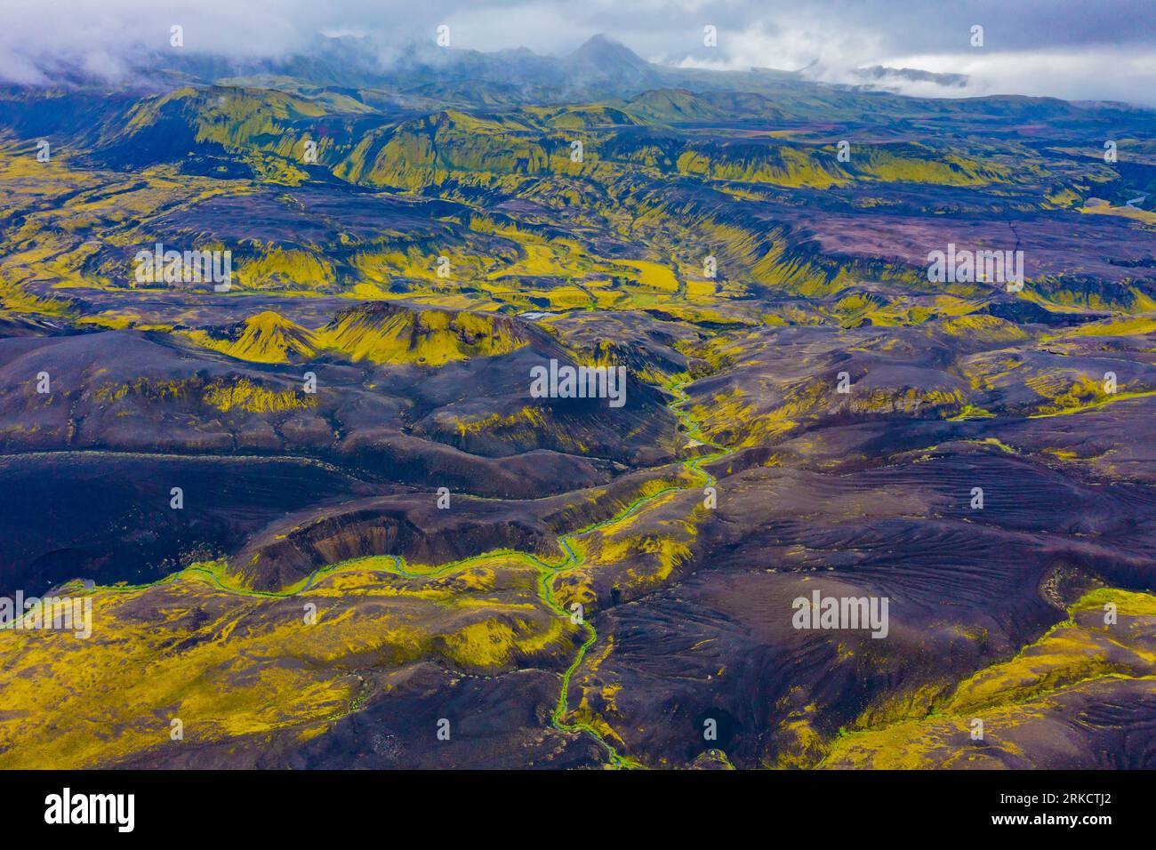 Lave et végétation estivale, hautes terres islandaises, Islande Banque D'Images