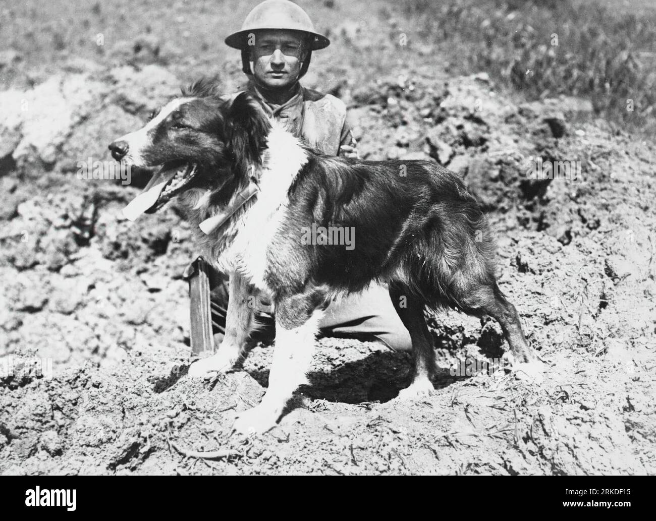 La première Guerre mondiale ou la première Guerre mondiale, souvent abrégée en WWI ou WW1, connue simultanément sous le nom de Grande Guerre, a été un conflit mondial majeur qui a duré de 1914 à 1918. Il a été combattu entre deux coalitions, les alliés et les puissances centrales. Les combats ont eu lieu dans toute l'Europe, le Moyen-Orient, l'Afrique, le Pacifique et certaines parties de l'Asie. La première décennie du 20e siècle a vu une tension diplomatique croissante entre les grandes puissances européennes. Cela atteint un point de rupture le 28 juin 1914, quand un serbe bosniaque nommé Gavrilo Princip assassine l'archiduc Franz Ferdinand. Banque D'Images