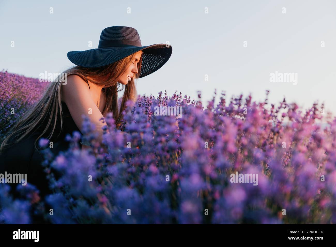 Femme champ de lavande. Une femme insouciante et heureuse, vêtue d'une robe noire et d'un chapeau à large bord, qui sente une lavande en fleurs au coucher du soleil. Idéal pour l'inspiration Banque D'Images