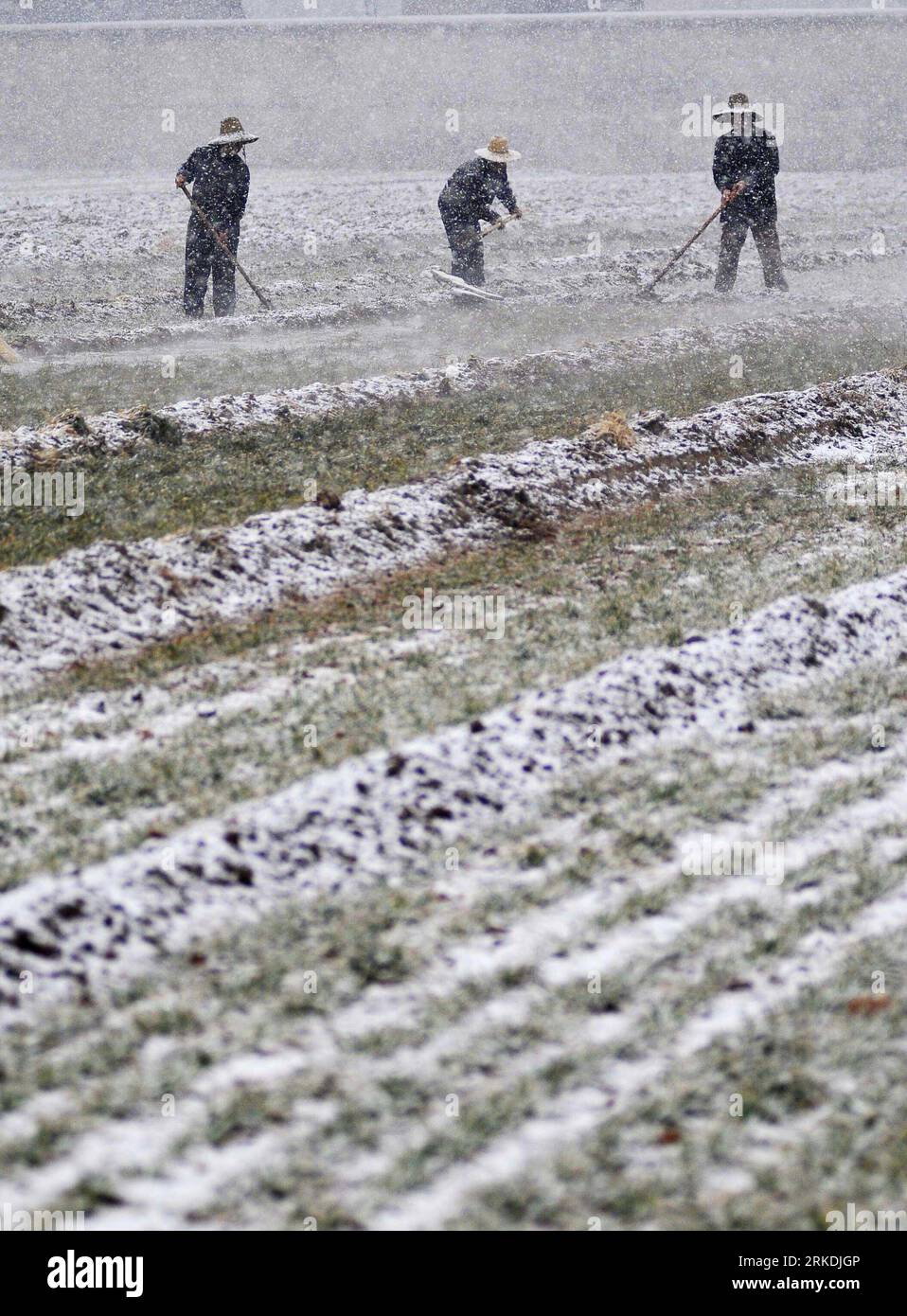 Bildnummer : 54957628 Datum : 26.02.2011 Copyright : imago/Xinhua (110227) -- YUNCHENG, 27 février 2011 (Xinhua) -- les agriculteurs arrosent leurs champs au milieu des chutes de neige dans le village de Taijia, comté de Wanrong de la ville de Yuncheng, province du Shanxi du nord de la Chine, 26 février 2011. Les chutes de neige depuis la nuit du 25 février devraient apporter des précipitations de 3-30 millimètres dans la province du Shanxi frappée par la sécheresse. (Xinhua/Yan Xin) (lfj) #CHINA-SHANXI-SNOWFALL-DRY (CN) PUBLICATIONxNOTxINxCHN Wirtschaft Landwirtschaft Jahreszeit Winter Schnee xo0x kbdig xub 2011 hoch Bildnummer 54957628 Date 26 02 2011 Copyright Imago XINHUA Yu Banque D'Images
