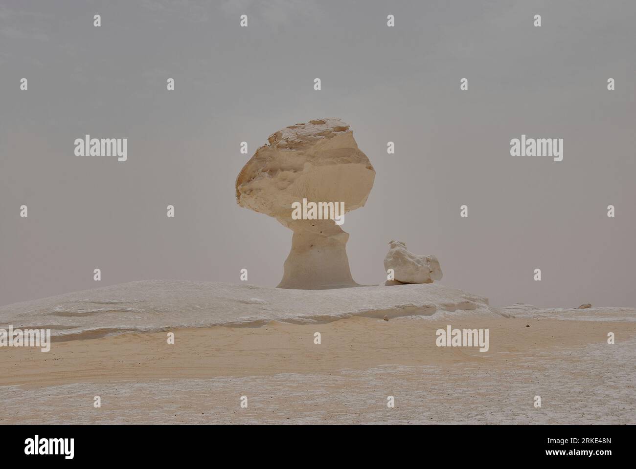 Vaste paysage de la région sèche et aride du désert blanc en Egypte avec des formations rocheuses bizarres causées par l'érosion éolienne. Banque D'Images
