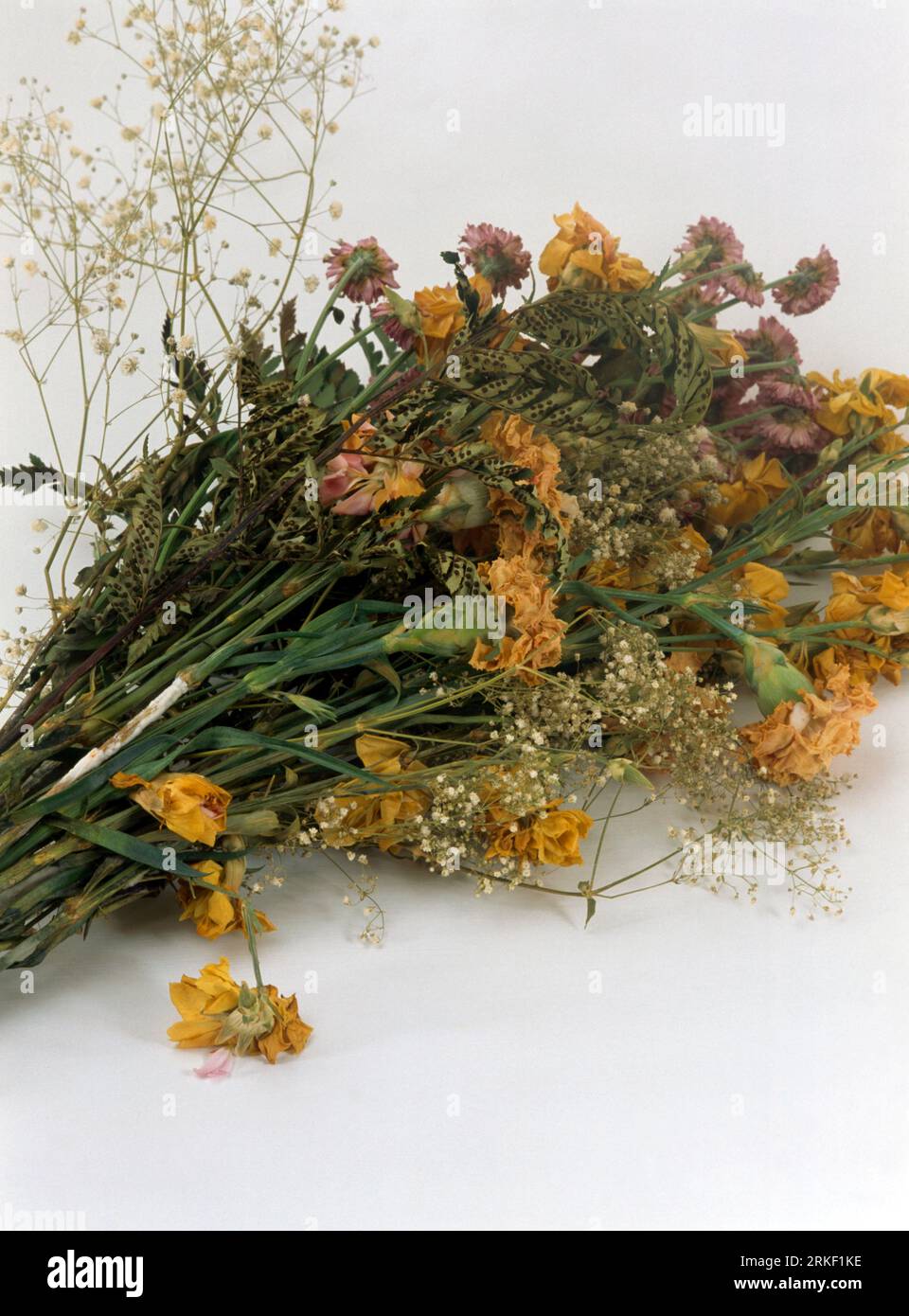 Bouquet de fleurs séchées Dead Flowers bouquet Banque D'Images