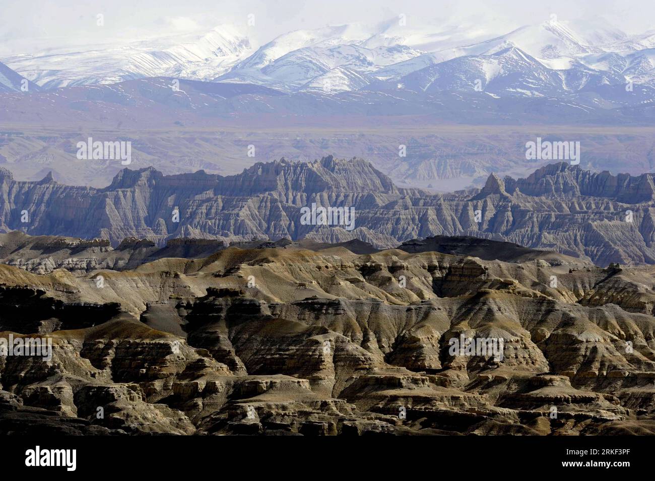 Bildnummer : 55338111 Datum : 07.05.2011 Copyright : imago/Xinhua (110511) -- ZANDA, 11 mai 2011 (Xinhua) -- la photo prise le 7 mai 2011 montre le paysage forestier du sol de Zanda au pied des montagnes de l'Himalaya, dans le comté de Zanda de la préfecture d'Ali, région autonome du Tibet du sud-ouest de la Chine. Le paysage forestier du sol de Zanda, l'ancien sédiment du lac dans les temps anciens, a résulté des changements géographiques au cours de l'orogenèse himalayenne, formant un paysage unique et magnifique. (Xinhua/Purba Zhaxi)(zxh) CHINE-TIBET-ZANDA SOL FORESTIER PAYSAGE (CN) PUBLICATIONxNOTxINxCHN Reisen Natur CHN Asien kbdig Banque D'Images