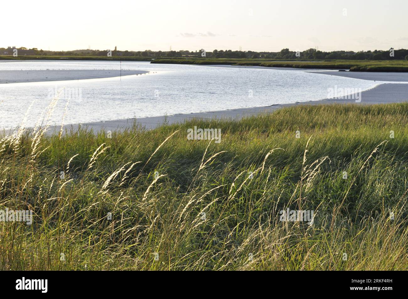 The River ALDE below Snape, Suffolk, Angleterre, Royaume-Uni Banque D'Images