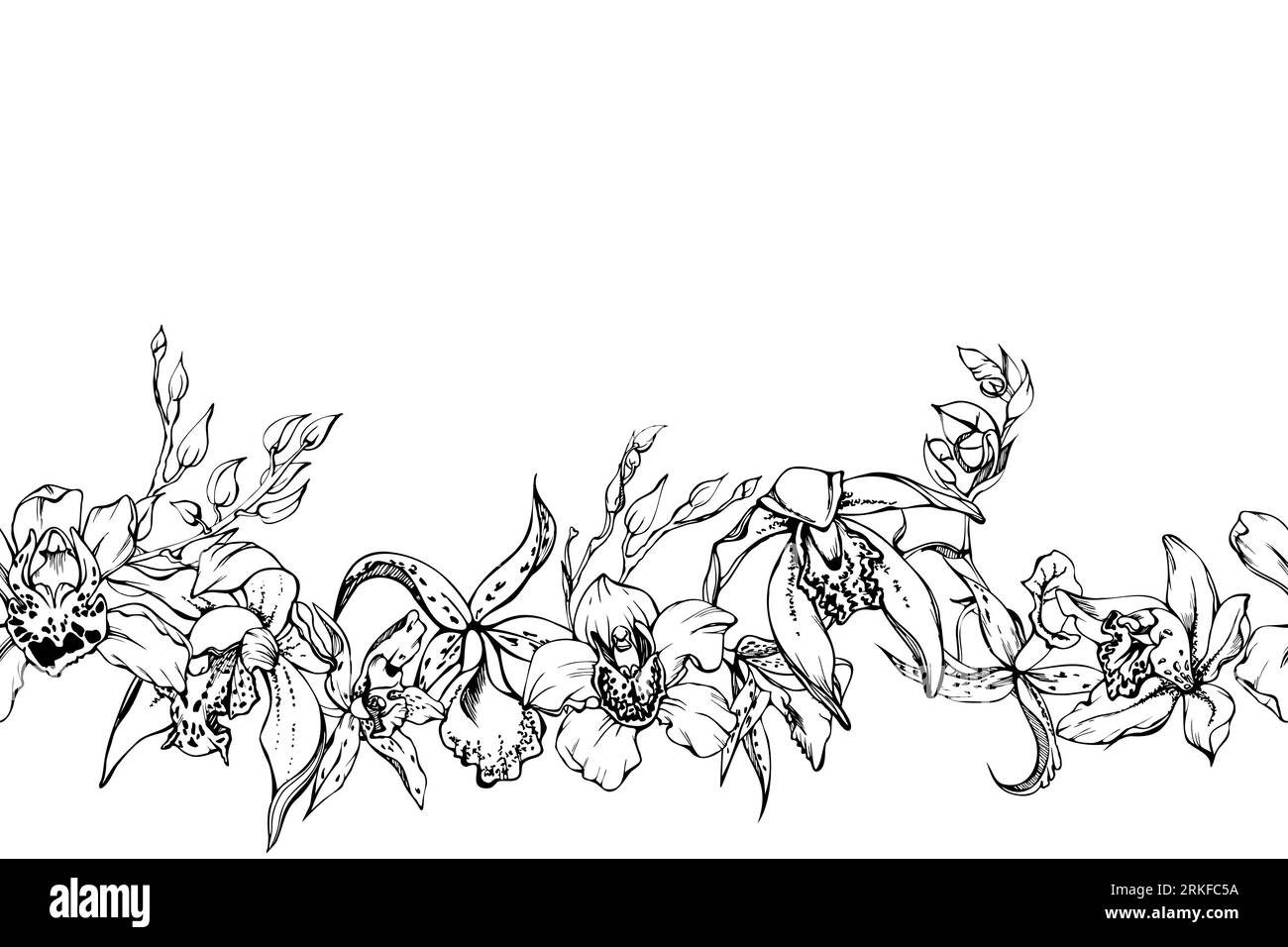 Fleurs et branches d'orchidées à encre vectorielle dessinées à la main, monochrome, contour détaillé. Bannière horizontale sans couture. Isolé sur fond blanc. Conception pour Illustration de Vecteur