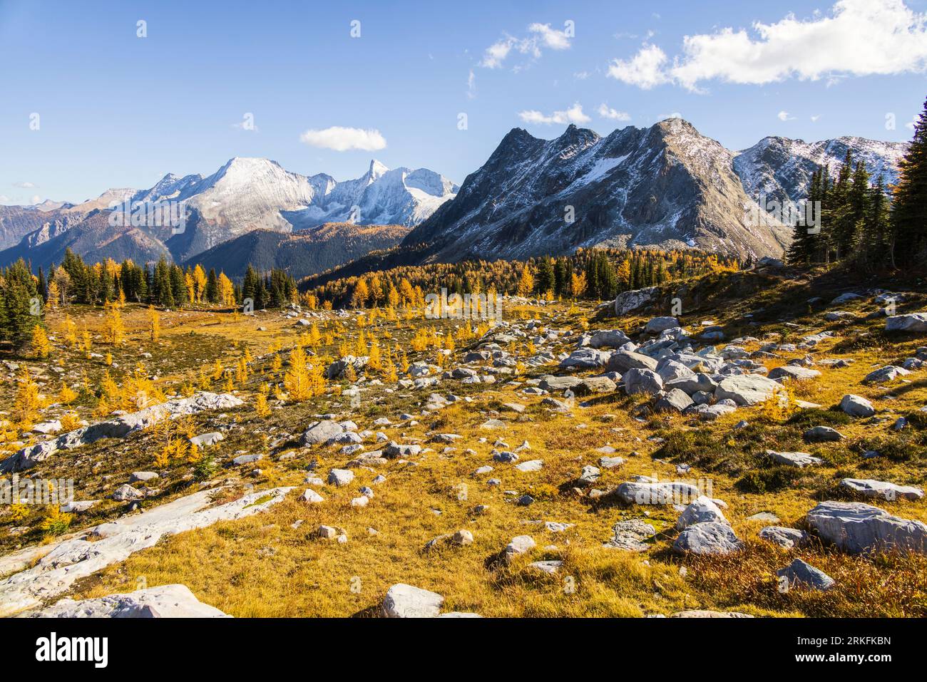 Jumbo Pass à l'automne, Colombie-Britannique Canada Banque D'Images