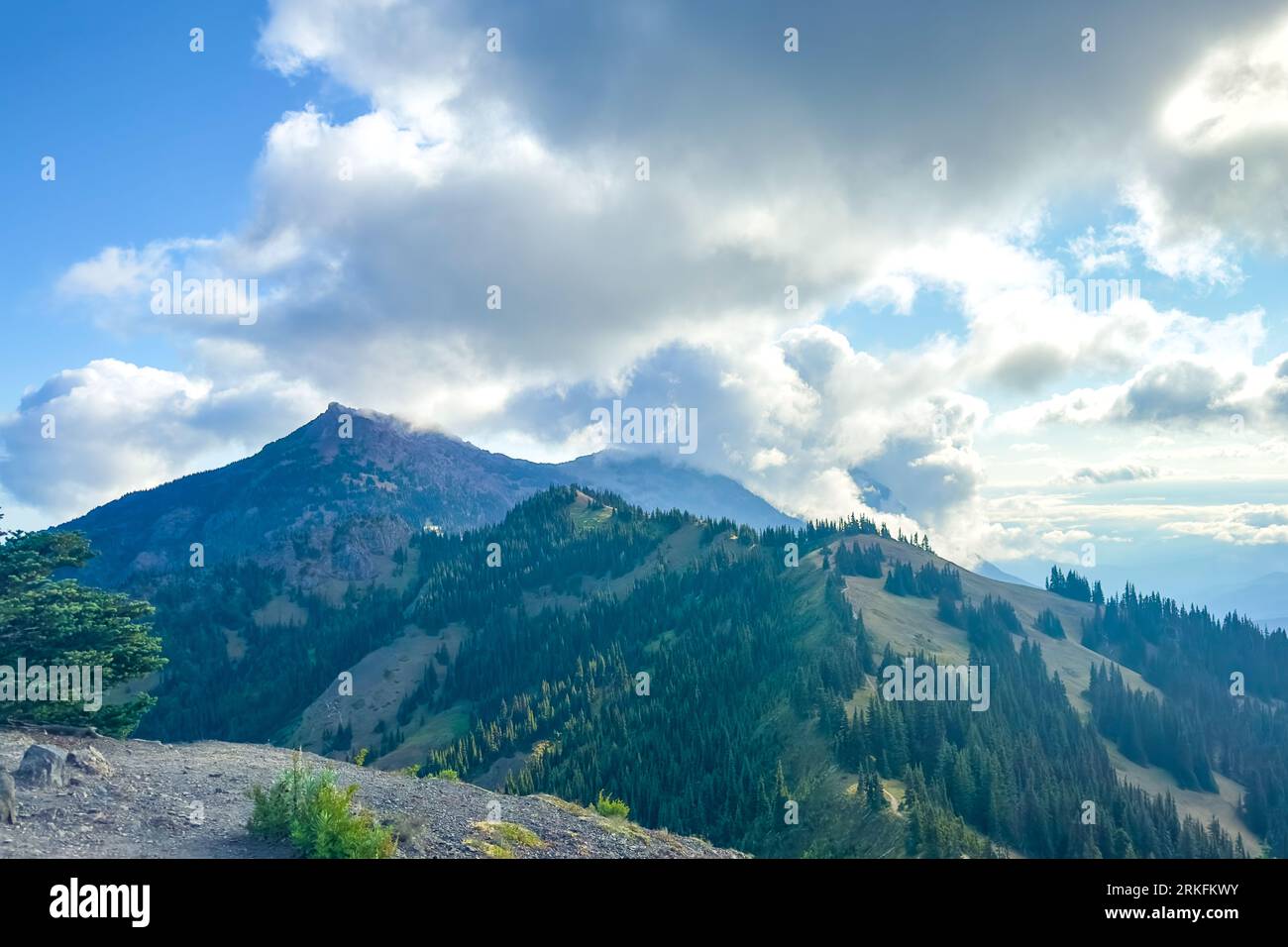 Parc national olympique depuis Hurricane Ridge dans l'État de Washington. Banque D'Images